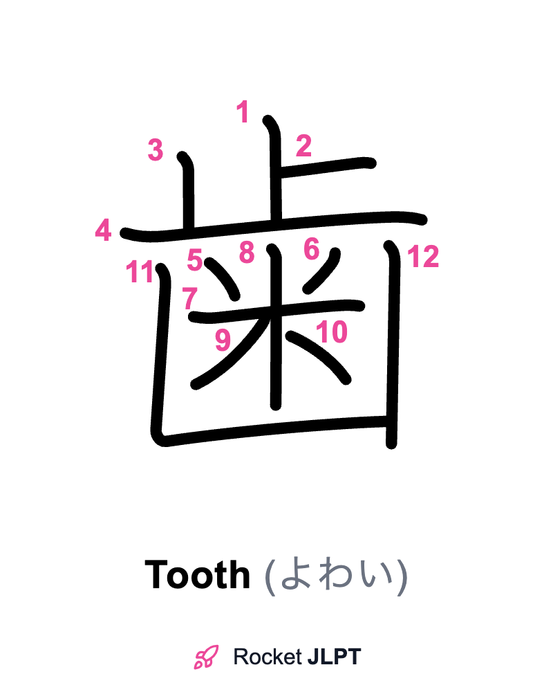 Rocket JLPT - Master Japanese with JLPT Preparation