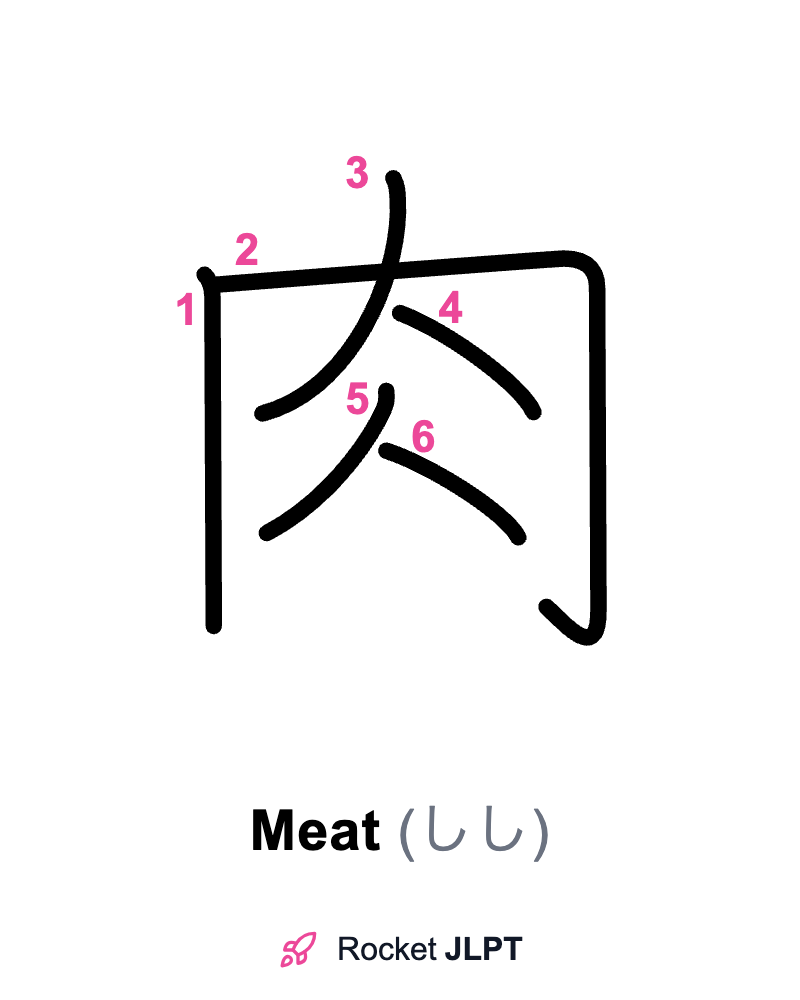 Rocket JLPT - Master Japanese with JLPT Preparation